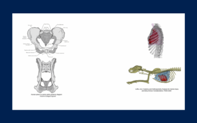 New Frontier for AIS: AAAM Helps Develop Veterinary-Abbreviated Injury Scale for Civilian and Military Working Dogs